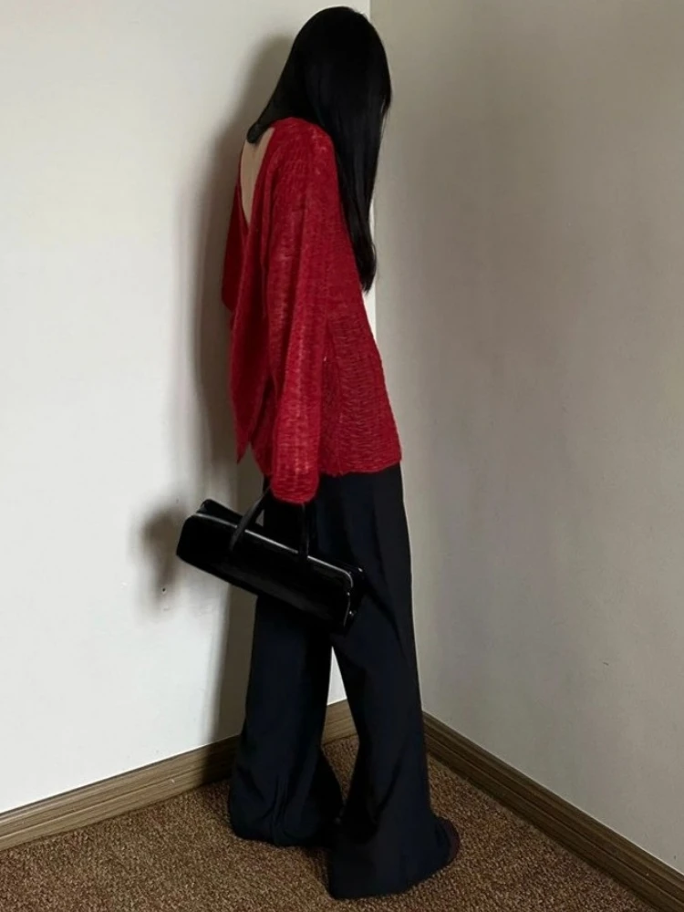 Przezroczysta dzianinowa koszu – Embroidery Fashion recenzja i cena